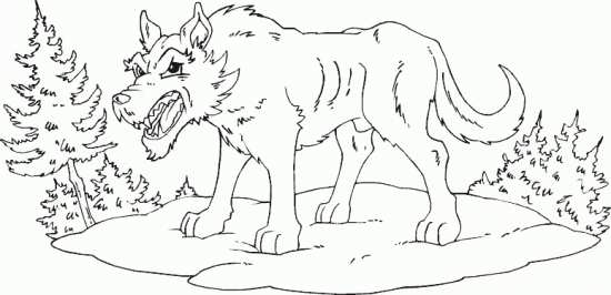 نقاشی گرگ 