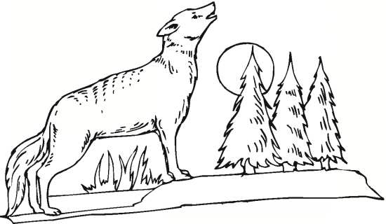 نقاشی جنگل و گرگ 
