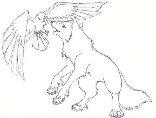 نقاشی عقاب و گرگ برای کودکان 