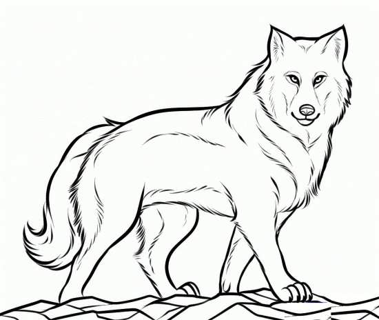 نقاشی زیبا از گرگ ناقلا 