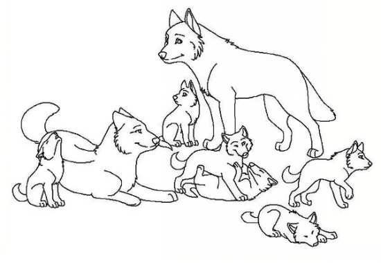 نقاشی زیبا از گرگ و بچه هایش 