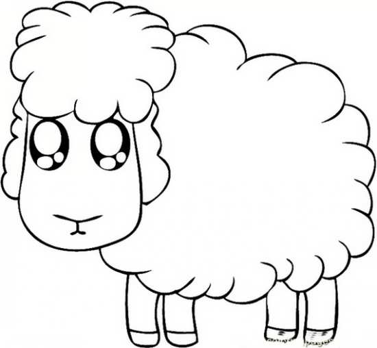 نقاشی های فانتزی از گوسفند 