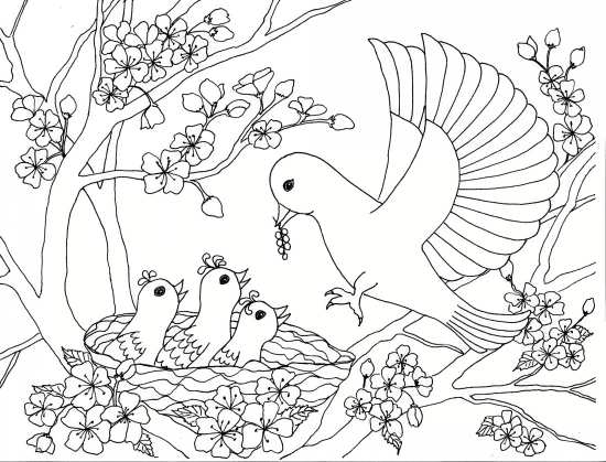 نقاشی غذا دادن پرنده به بچه هایش 