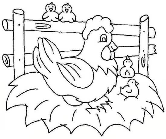 نقاشی مرغ و جوجه های زیبا 