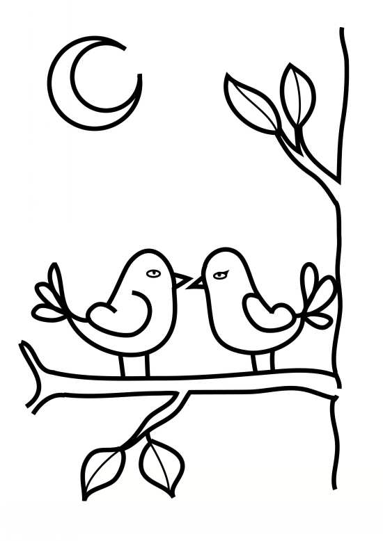 نقاشی های پرنده های کوچک 
