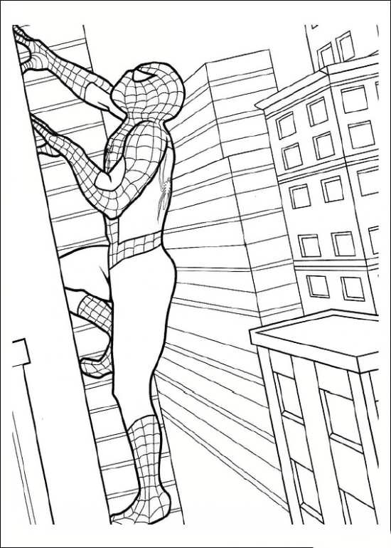 نقاشی های جدید از مرد عنکبوتی 