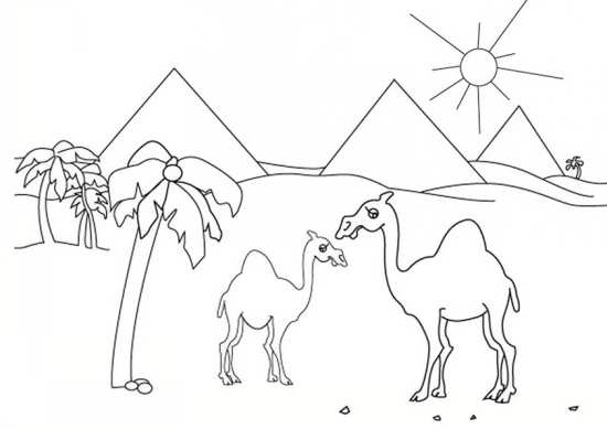 نقاشی شتر در صحرا برای رنگ آمیزی کودکان 