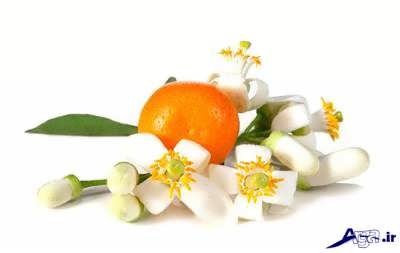 خواص درمانی بهار نارنج