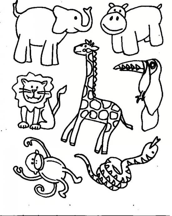 نقاشی حیوانات مختلف با طرح های زیبا و متفاوت 