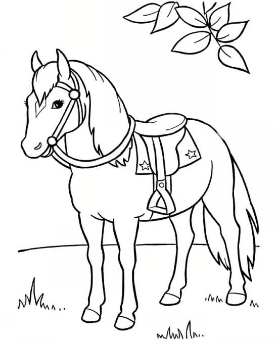 نقاشی اسب برای رنگ آمیزی کودکان 