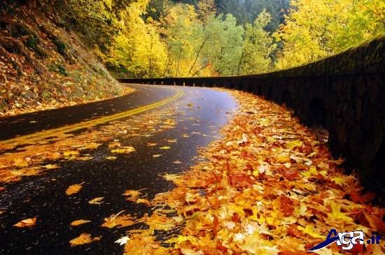 عکس جاده های زیبای پاییزی 