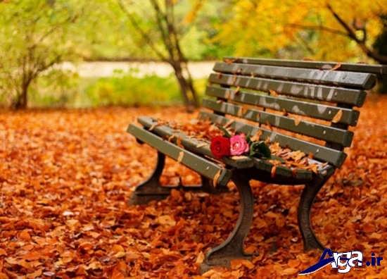 زیباترین تصاویر رمانتیک از پاییز 
