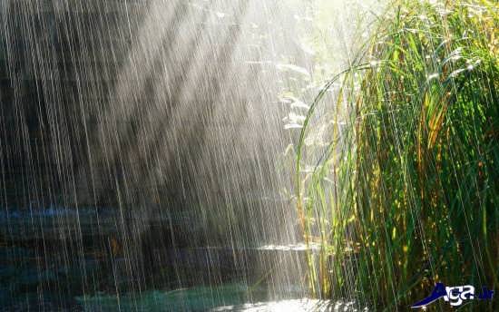 انواع عکس های زیبای طبیعت بارانی 