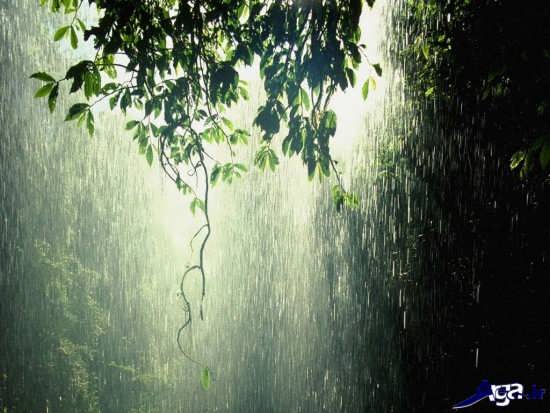 تصاویر زیبا و جذاب باران در طبیعت 