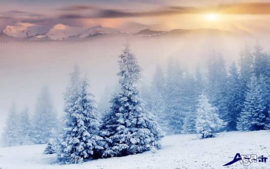 عکس های زیبای مناظر برفی 