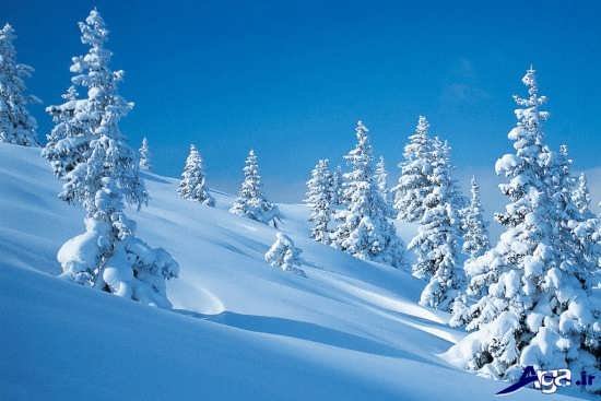 مناظر زیبای زمستان 