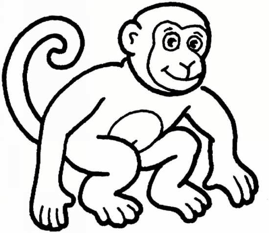 نقاشی میمون های بازیگوش 
