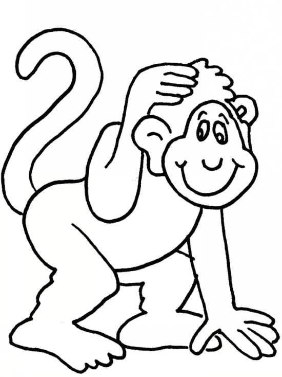 نقاشی های میمون با طرح های جدید 