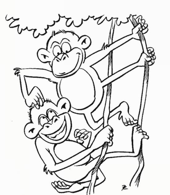 نقاشی میمون بازیگوش و فانتزی 