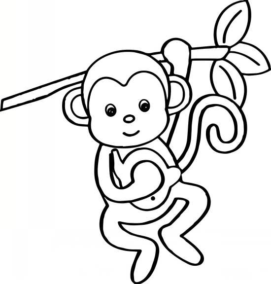 نقاشی های جدید و فانتزی میمون 