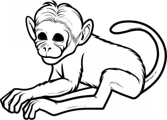 نقاشی میمون برای رنگ آمیزی کودکان در خانه 