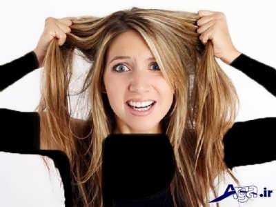 درمان کردن موهای چرب با روش های طبیعی 