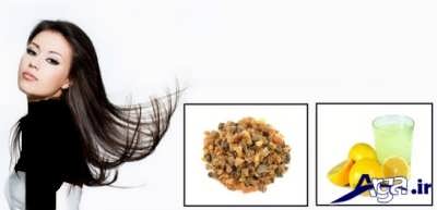 روش های طبیعی برای درمان چربی موها