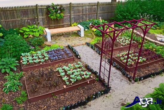 طراحی باغچه سبزیجات 