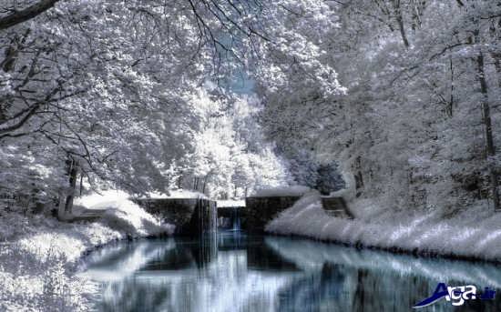 عکس های زیبای زمستان