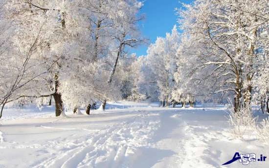 عکس های زیبا و جذاب زمستان 