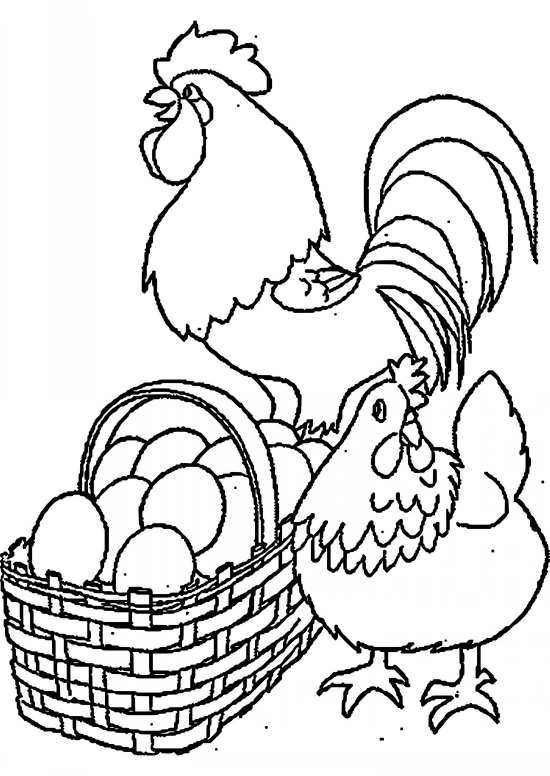 نقاشی مرغ و خروس با طرح جذاب و کودکانه 