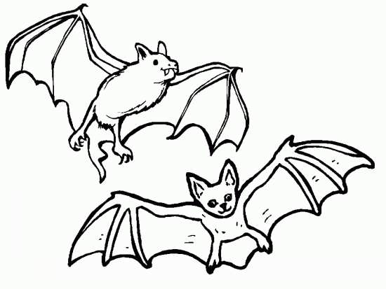 نقاشی های خفاش با انواع طرح های مختلف و جذاب 