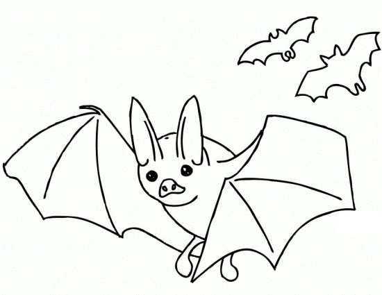 انواع نقاشی های مختلف از پرنده خفاش 
