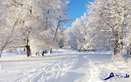 عکس طبیعت در زمستان