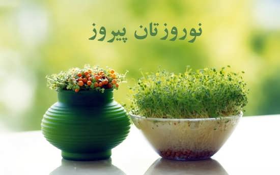 عکس زیبای نوروزی برای پروفایل