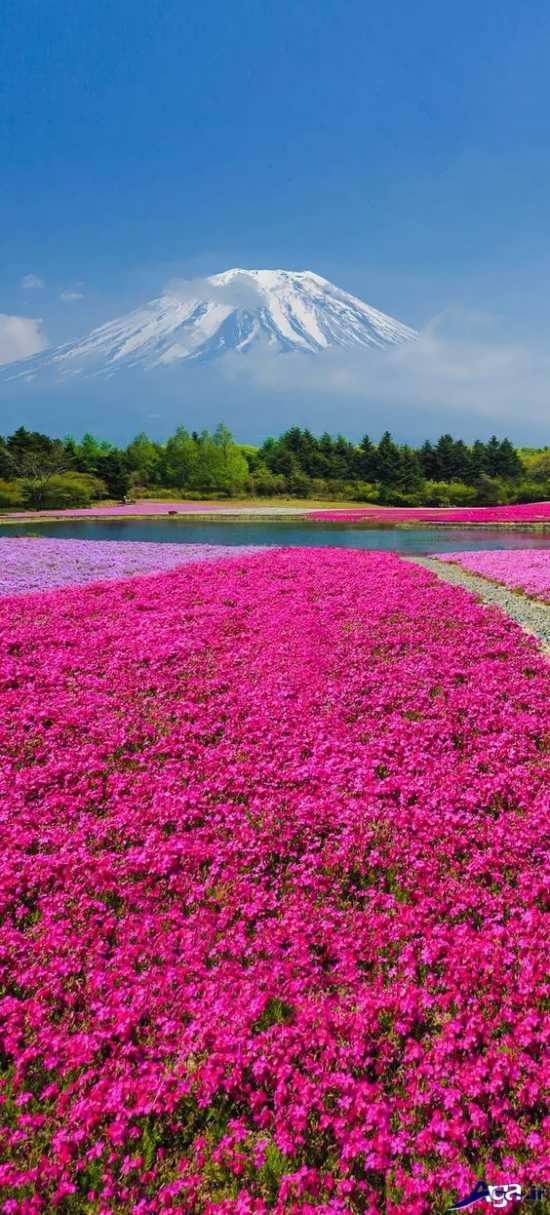 طبیعت زیبا در ژاپن