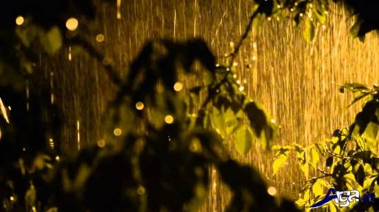 زیباترین عکس های باران