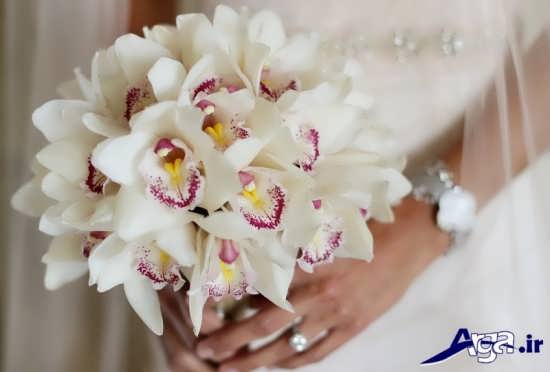 گلهای زیبای ارکیده برای تزیین دسته گل عروس