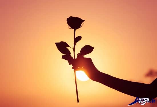 تصویر زیبا و هنری هدیه دادن گل