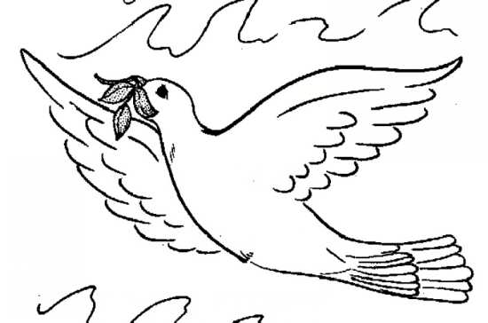نقاشی کودکانه کبوتر 