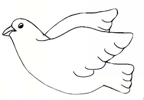 نقاشی کبوتر برای رنگ آمیزی کودکان 
