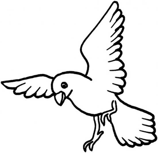 نقاشی کبوتر برای بچه ها 