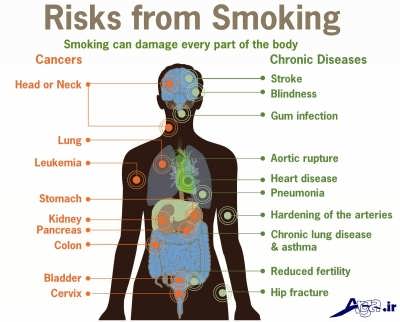 تاثیر سیگار بر روی بدن