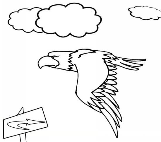 نقاشی آسمان و عقاب 