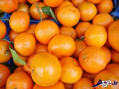 پرتقال درمان همه چیز