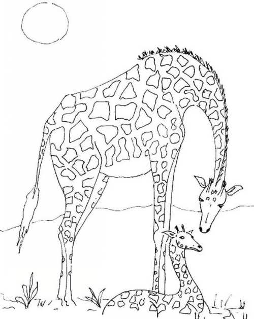 نقاشی زرافه برای بچه ها 