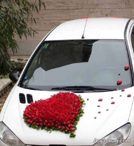 تزیین ماشین عروس پژو 206 با کفشدوزک و گل 