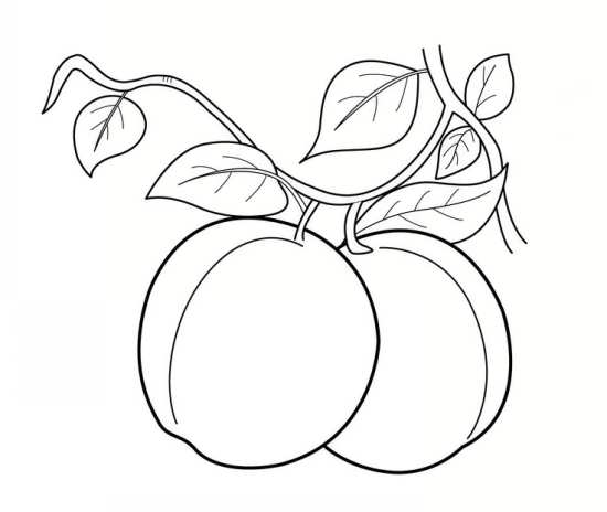 نقاشی میوه برای کودکان 