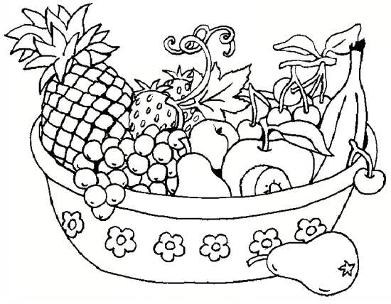 نقاشی انواع میوه ها 