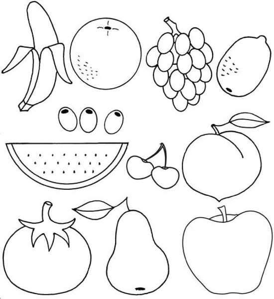 نقاشی انواع میوه ها 